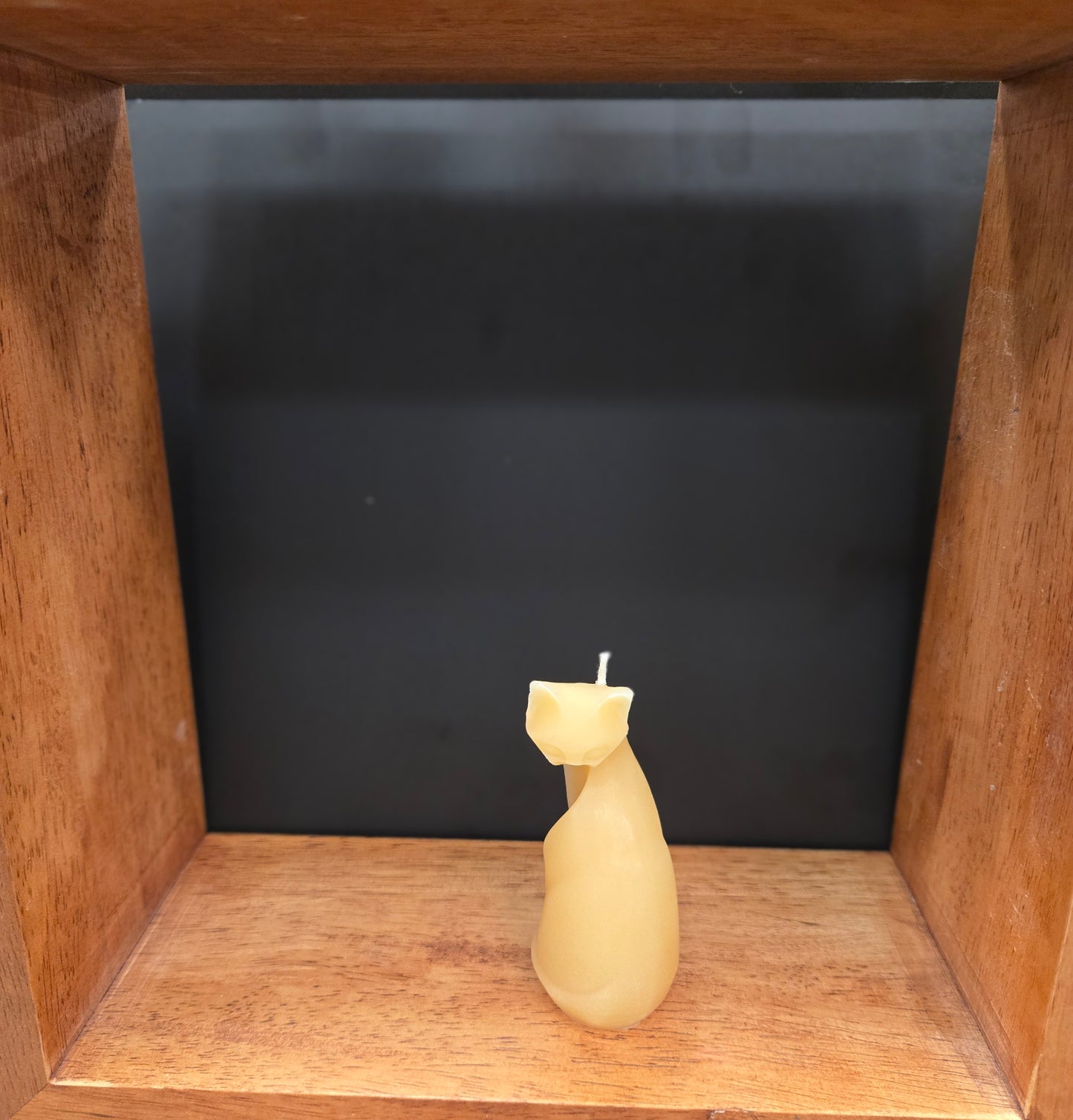 Cat Candle