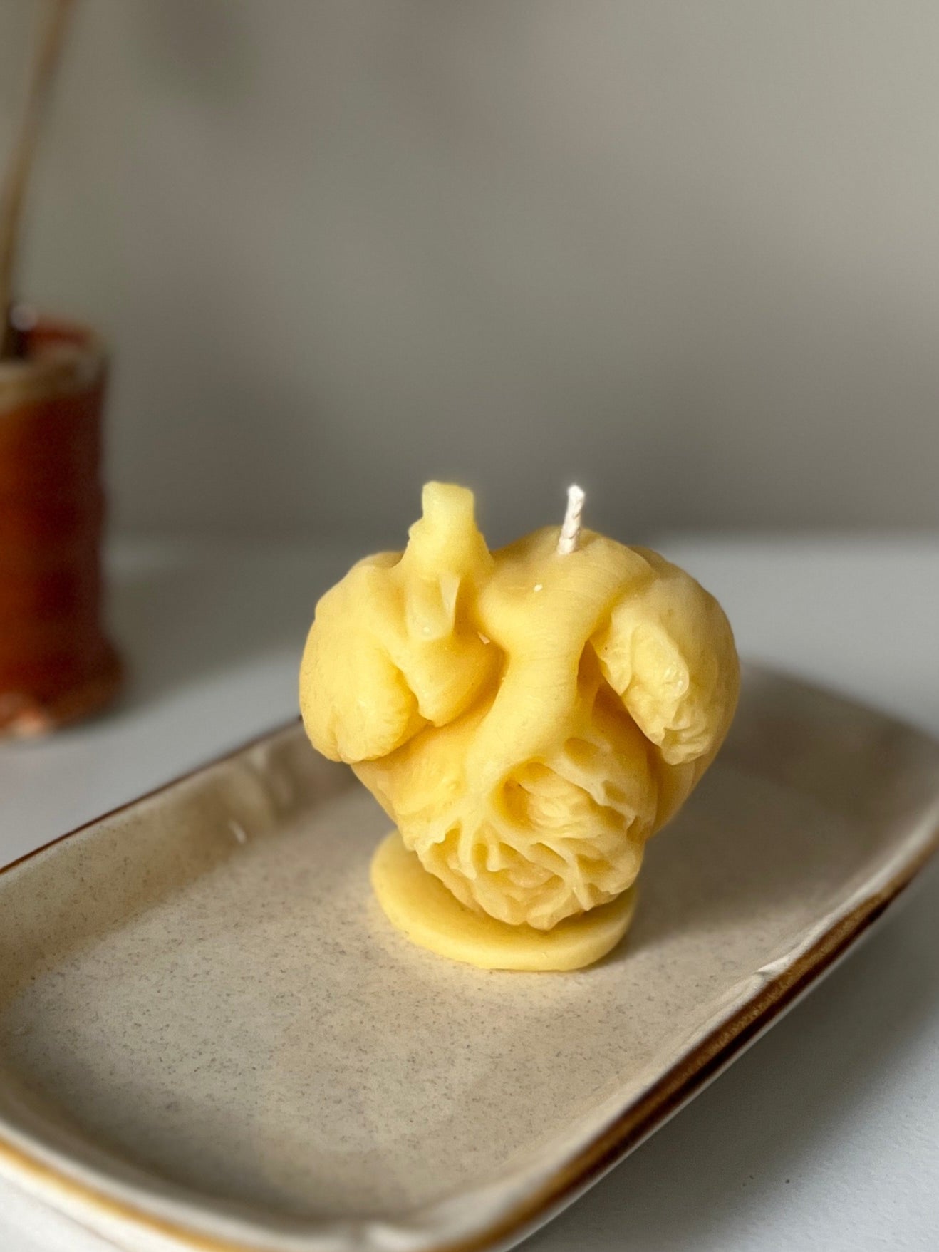 Anatomical heart alberta beeswax candle